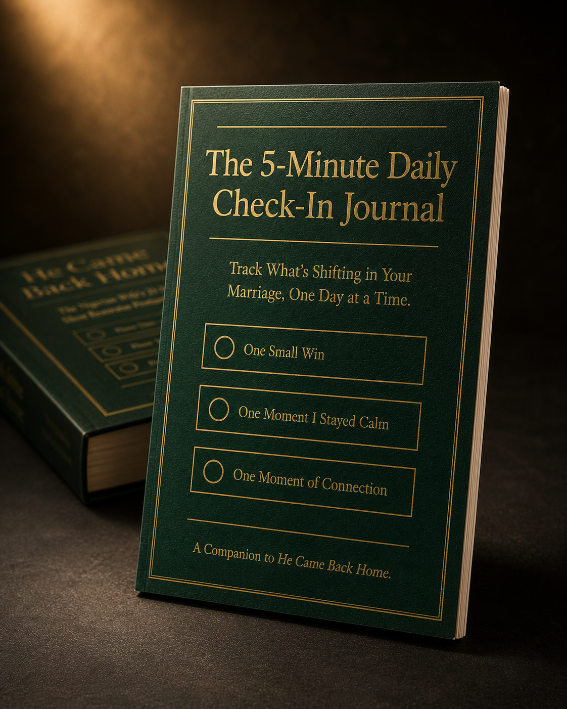 Bonus 2 — The 5-Minute Daily Check-In Journal